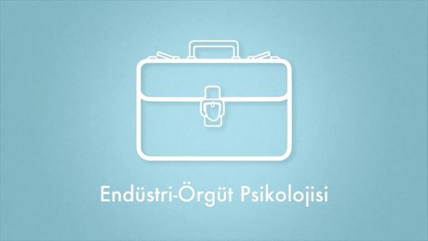 Endüstri ve Örgüt Psikolojisi Yüksek Lisans Programı